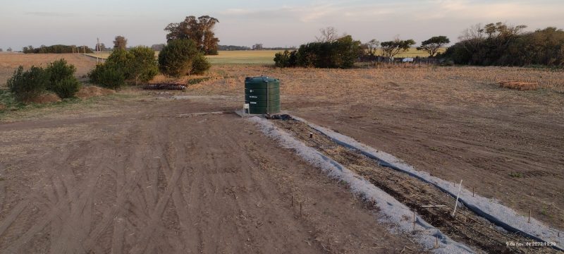 Cama biológica directa de AGROBIOBEDS para Agropecuaria Las Semillas